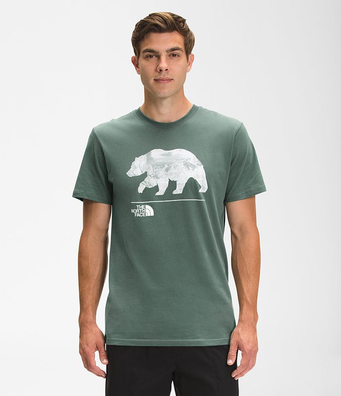 The North Face T Shirts Męska Zielone Bearscape Krótki Rękaw - WLQH07362